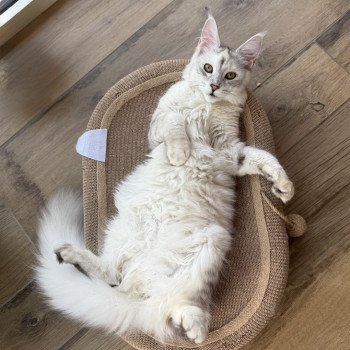 8 mois pour Alpha ✨